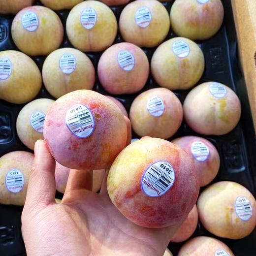 太阳李 （礼盒装） 商品图2