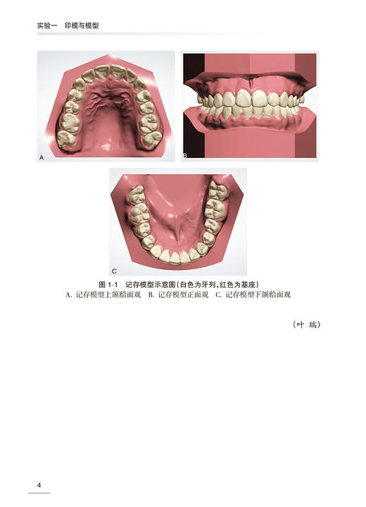 口腔正畸学实验教程 赖文莉 口腔本科教材配套实验教程 常用临床操作理论基础操作要点 实验学习要求 人民卫生出版社9787117354264 商品图3