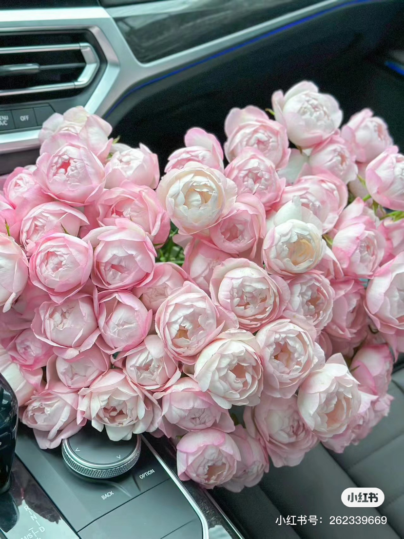 国产多头玫瑰-【草莓杏仁饼】