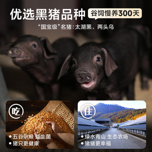 【冷冻】网易味央黑猪猪扒350g 商品图3