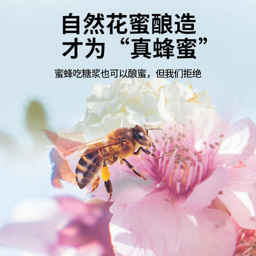 【正宗同仁堂品牌】北京同仁堂 蜂蜜锦礼1.8kg礼盒（枣花蜂蜜300克×2，洋槐蜂蜜300克×2，椴树蜂蜜300克×2） 拒绝添加 可溯源SY 商品图1
