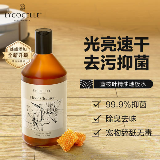 绽家6.18大促！【绽家地板清洁剂750ml】地板会“发光”   超大瓶升级浓缩版🔹1:100稀释使用 。0609 商品图0