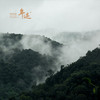 年迹 牛班▪老班章牛控地古树茶16g，80g 商品缩略图3