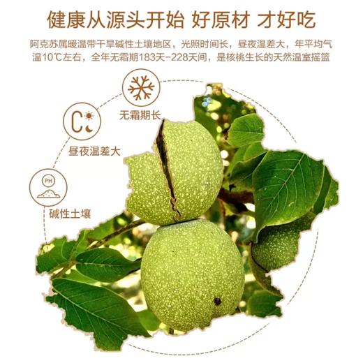 【壳薄如纸 手捏即开】援疆丨阿克苏185纸皮核桃 1kg/箱 商品图3