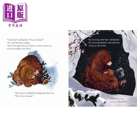 预售 【中商原版】罗森爷爷 大梦想 Michael Rosen The Big Dreaming英文原版 亲子绘本 动物故事图画书 精装精品绘本 进口儿童读物 商品图3