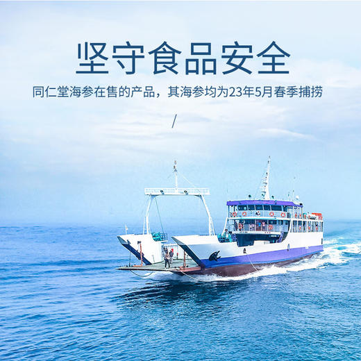 北京同仁堂（TRT）造养青年 淡干海参100g 28-42只 选自大连 含盐8%底足密实 严格控盐  肉质紧实 口感爽滑SY 商品图4