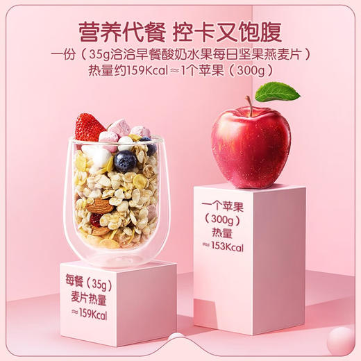 洽洽  每日坚果  酸奶水果燕麦片15日装  35g*12 商品图3