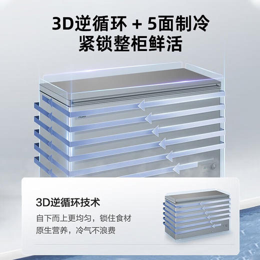 海尔冰柜369升商用大容量节能家用冷柜冷藏冷冻柜转换超低温深冷速冻BC/BD-369GHPT 商品图4