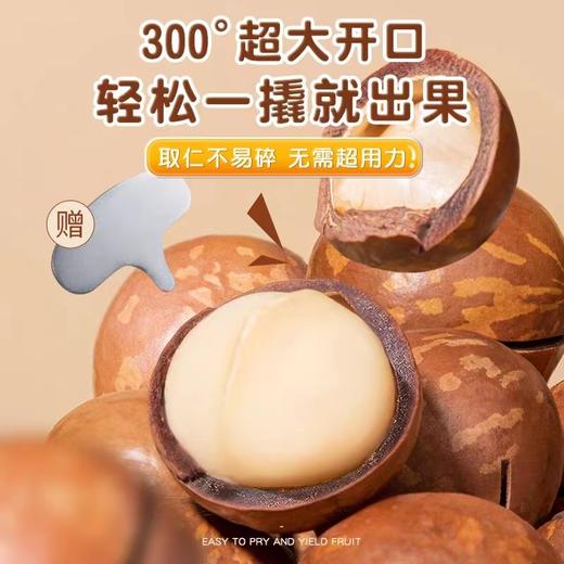 【夏威夷果！滑嫩清甜】奶油味新货大颗粒奶白果仁大颗粒， 网红休闲小零食袋装罐装，壳薄肉多 果仁香脆 果香浓郁 吃了还想吃 商品图2