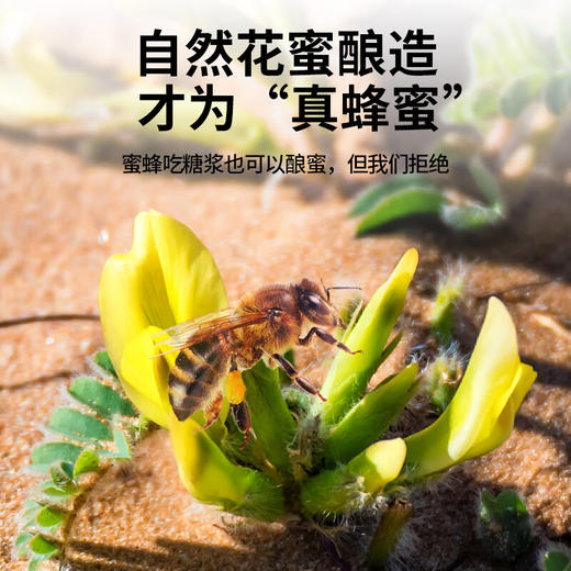 【正宗同仁堂品牌】北京同仁堂 黄芪蜂蜜800克 漏斗型瓶装 原料纯粹 拒绝添加 便携易使用SY 商品图1