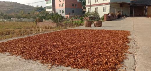 （自采）黄花菜 商品图3