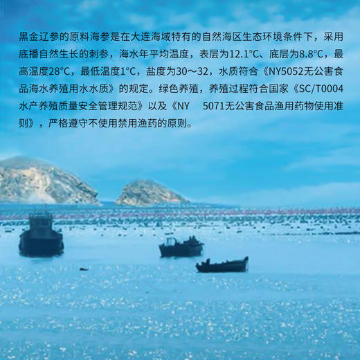 北京同仁堂（TRT） 总统牌 大连速发海参黑金辽刺参淡干100g 30只礼盒推荐SY 商品图6