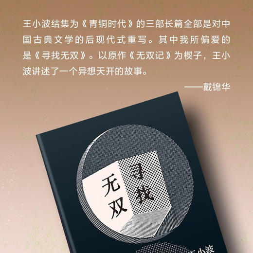 寻找无双 王小波 著 小说 商品图4