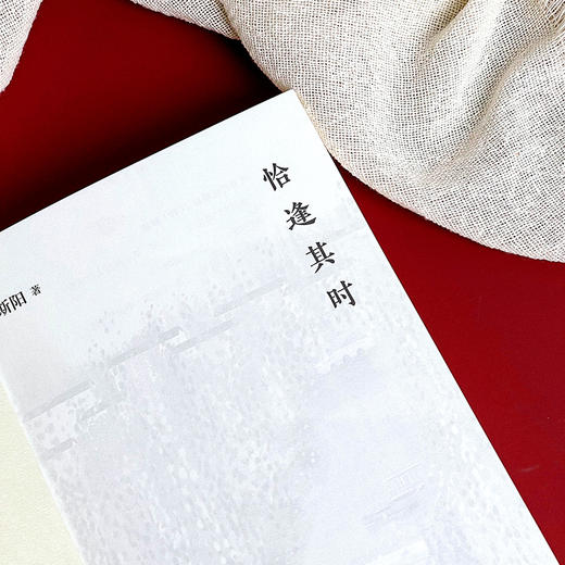 恰逢其时 洞照堂诗笺 古体近体诗作品集 斯阳著 商品图5