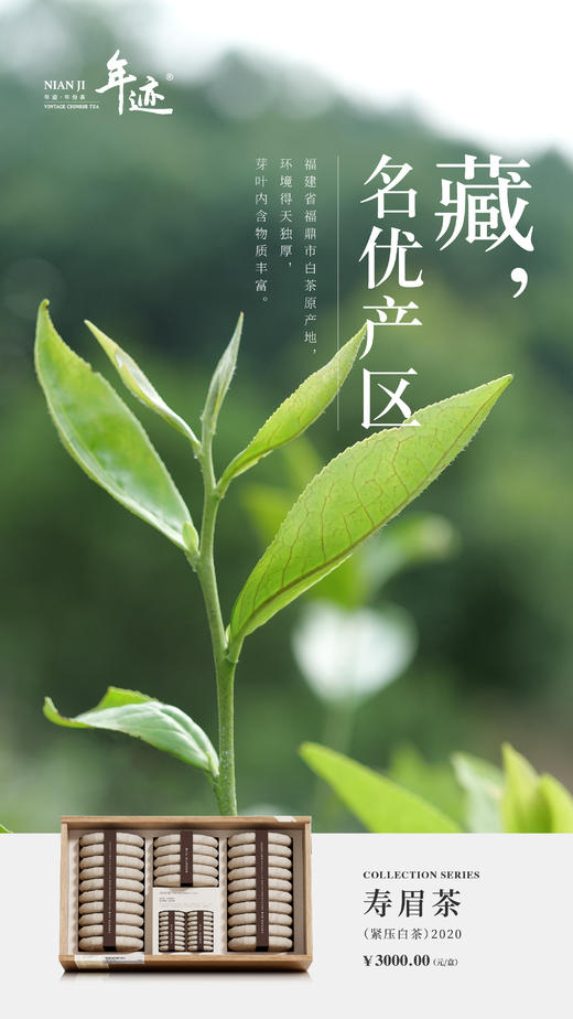 年迹福鼎寿眉超值囤茶礼2020年福鼎寿眉2600g自饮商务高端礼盒装 商品图6