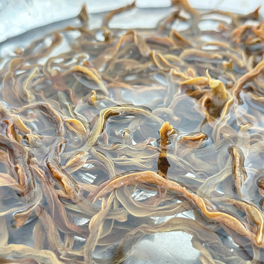 昌西公社高山四季豆干原生态种植自然晒干净重250克/袋 商品图3