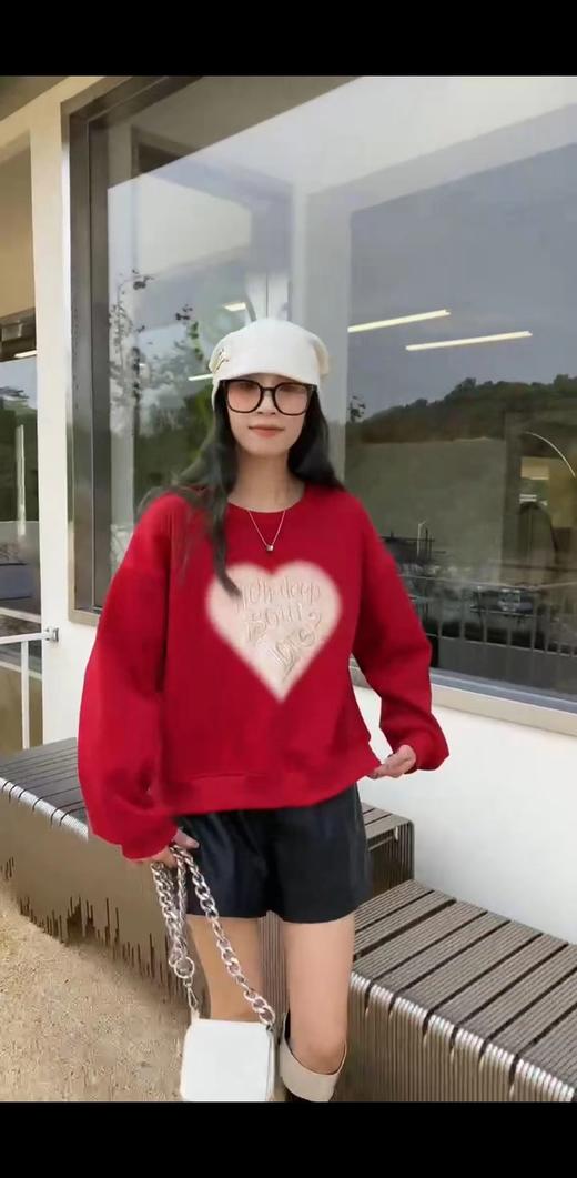 D6025        欧版气质休闲减龄字母刺绣加绒套头卫衣（特价不退换） 商品图3