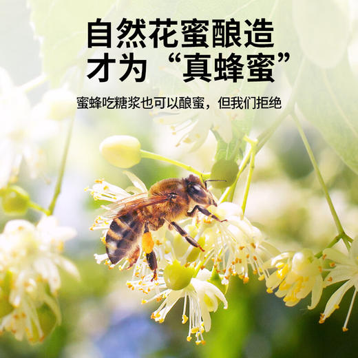 【正宗同仁堂品牌】北京同仁堂 椴树蜂蜜800克 漏斗型瓶装 原料纯粹 拒绝添加 便携易使用SY 商品图1