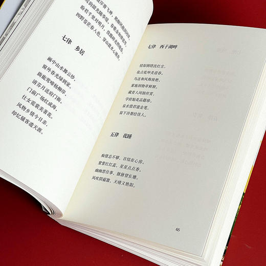 恰逢其时 洞照堂诗笺 古体近体诗作品集 斯阳著 商品图12