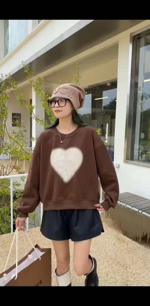 D6025        欧版气质休闲减龄字母刺绣加绒套头卫衣（特价不退换） 商品图2