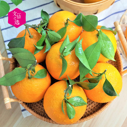 【好吃的】爱媛38号 果冻橙 Q弹爽滑 皮薄汁多 细腻化渣 老少皆宜 橙子 中果/大果 商品图3