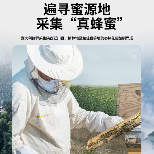 【正宗同仁堂品牌】北京同仁堂 枣花蜂蜜800克 漏斗型瓶装 原料纯粹 拒绝添加 便携易使用SY 商品图2