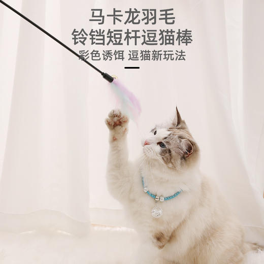 马卡龙羽毛短杆逗猫棒 带铃铛 基础款逗猫玩具批发 商品图2