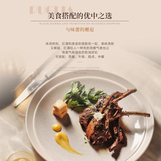 【普利亚产区的精品之作】意大利米多克风干红葡萄酒 意大利进口 16.5%vol 商品图7
