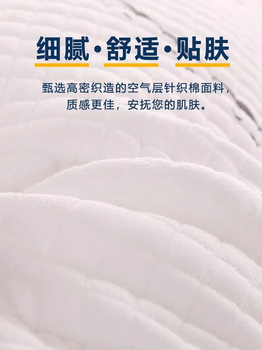 【下架】自然醒睡眠科技枕头护颈椎男助睡眠不塌陷整头枕芯家用一对学生宿舍单人睡觉专用SXM 商品图6