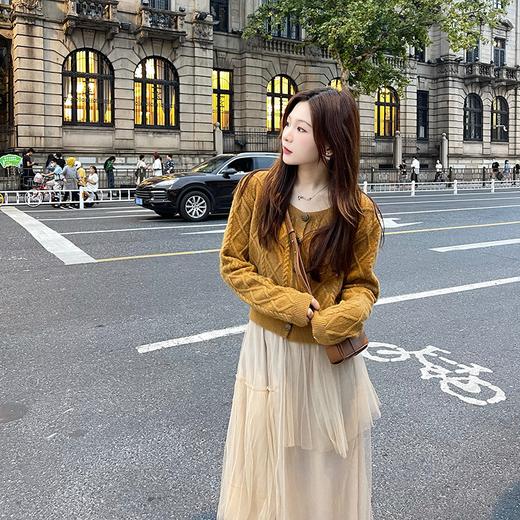 金蘑菇菇【金豆小麻花】羊绒+特种纱～本期开衫.高腰显瘦百褶气质 商品图2