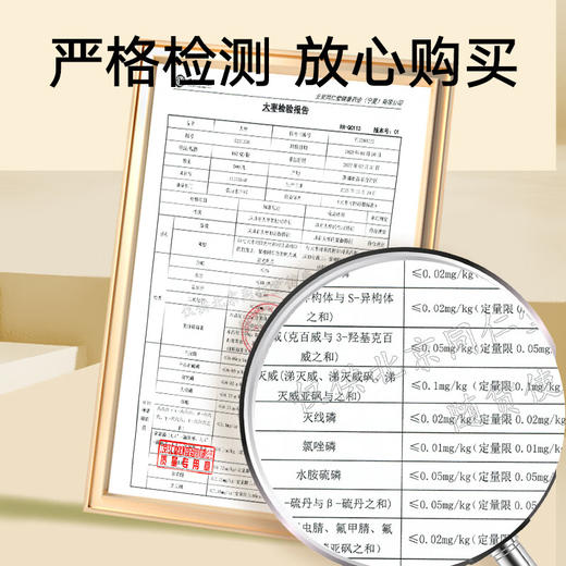 【正宗同仁堂品牌】北京同仁堂  大枣160g 大枣产自新疆 肉厚紧实 健康滋补 SY 商品图4