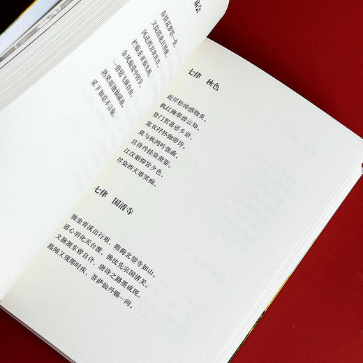 恰逢其时 洞照堂诗笺 古体近体诗作品集 斯阳著 商品图11