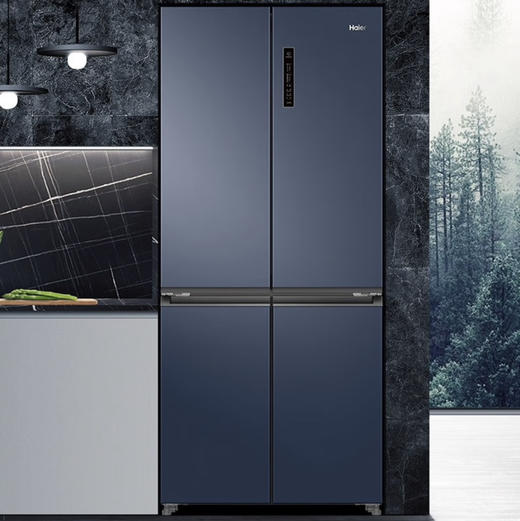 海尔（Haier）冰箱 BCD-501WLHTD58B9U1 商品图1