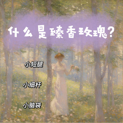 拍前须知 商品图0