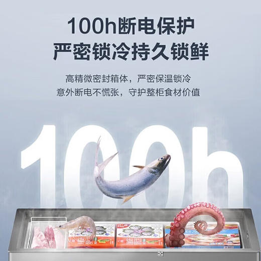 海尔（Haier）冰柜家用商用大容量卧式保鲜深冷速冻 断电保护自由转换顶开门冷藏冷冻冷柜 429升丨-38℃低温丨BC/BD-429GHPT 商品图2
