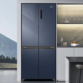 海尔（Haier）冰箱 BCD-501WLHTD58B9U1