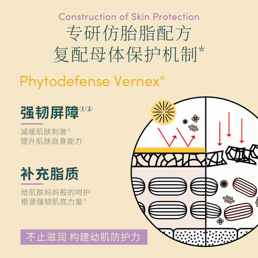 【套组】【礼盒】Evereden安唯伊胎脂系列4件套 胎脂面霜2号50ml+胎脂洗沐251ml+胎脂身体乳200ml+胎脂抚触油118ml 商品图2