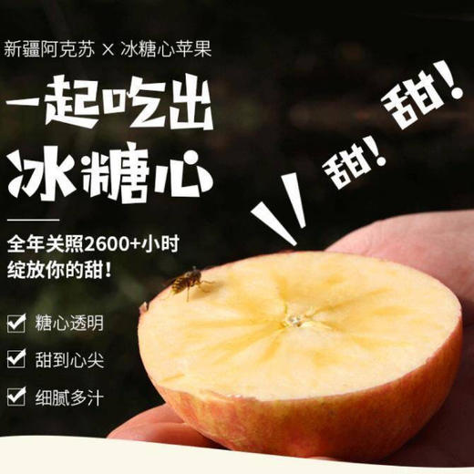 【2025季鲜果】新疆红旗坡——阿克苏冰糖心苹果 脆甜多汁  顺丰发货 商品图3