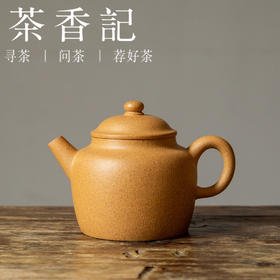 茶香记 润砂堂 金黄团泥重炮手紫砂壶 具轮珠 壶型经典 颗粒感强