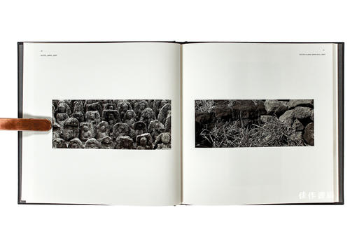 Stone: A Substantial Witness / 石头：一个重要的见证者 商品图4