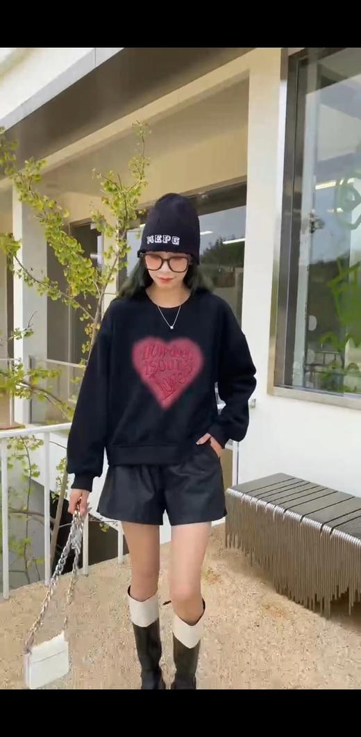 D6025        欧版气质休闲减龄字母刺绣加绒套头卫衣（特价不退换） 商品图0