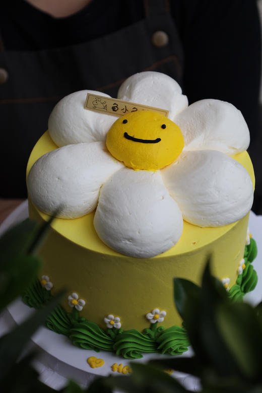 太阳花 商品图0