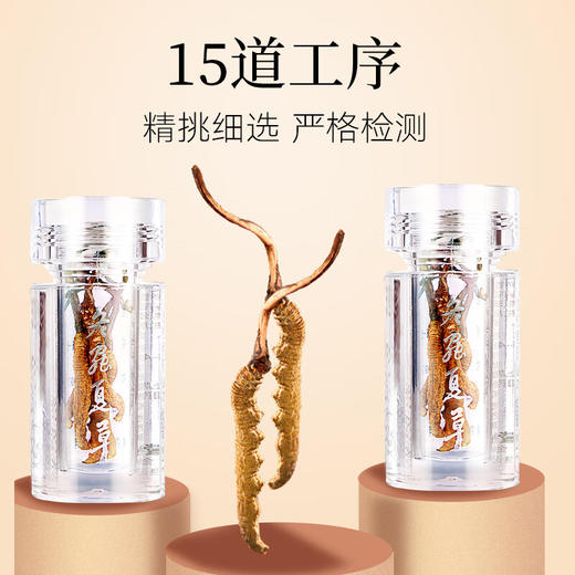 【正宗同仁堂品牌】北京同仁堂 冬虫夏草 虫草-50/10g 虫草礼盒 无竹签 无断草 SY 商品图3