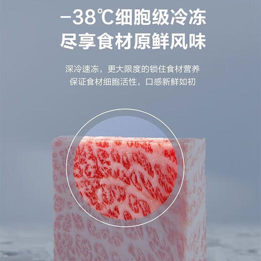 海尔（Haier）冰柜家用商用大容量卧式保鲜深冷速冻 断电保护自由转换顶开门冷藏冷冻冷柜 429升丨-38℃低温丨BC/BD-429GHPT 商品图1