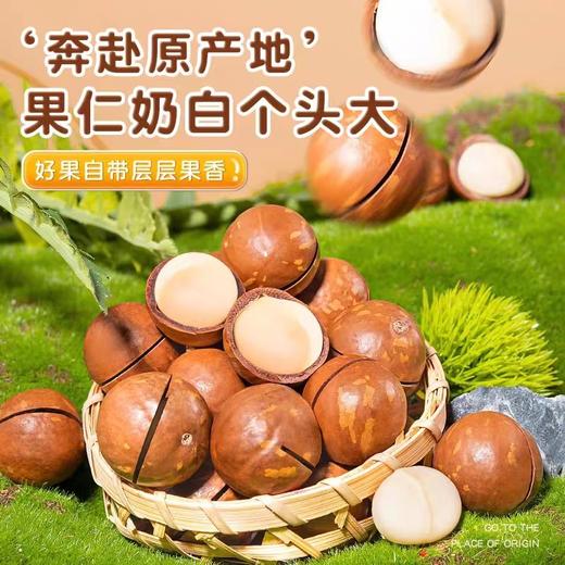 【夏威夷果！滑嫩清甜】奶油味新货大颗粒奶白果仁大颗粒， 网红休闲小零食袋装罐装，壳薄肉多 果仁香脆 果香浓郁 吃了还想吃 商品图0