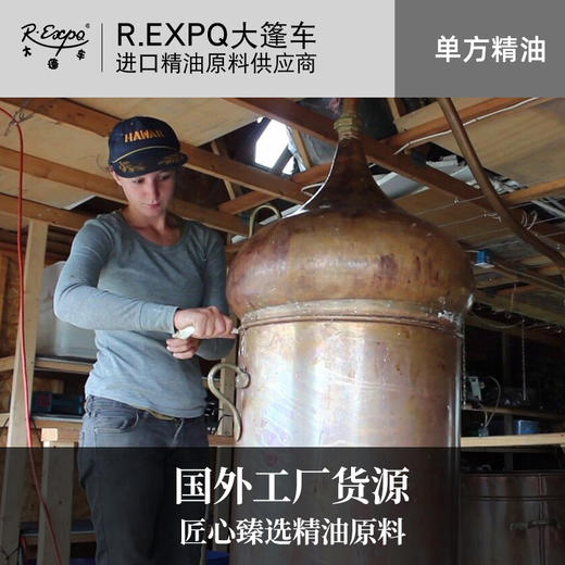 印度迈索尔白檀香精油 老山檀香油 收藏版 进口精油原料批发 大篷车精油 商品图2