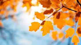 秋天干燥，居然还要祛湿？