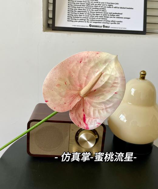 【年宵仿真花】3D打印仿真掌/ 实拍图 商品图7