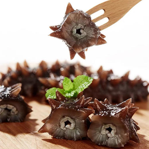 状元海有机海参 500g/袋 商品图2