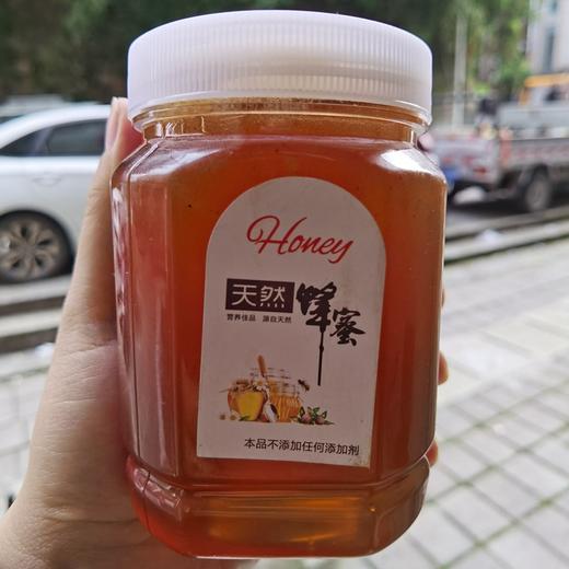 纯正天然野生蜂蜜无添加，湖北十堰深山农家自养野蜂蜜一斤装 商品图0